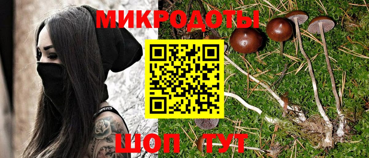 Галлюциногенные грибы Psilocybine cubensis  Вход с VPN  Глазов  Галлюциногенные грибы Psilocybe 